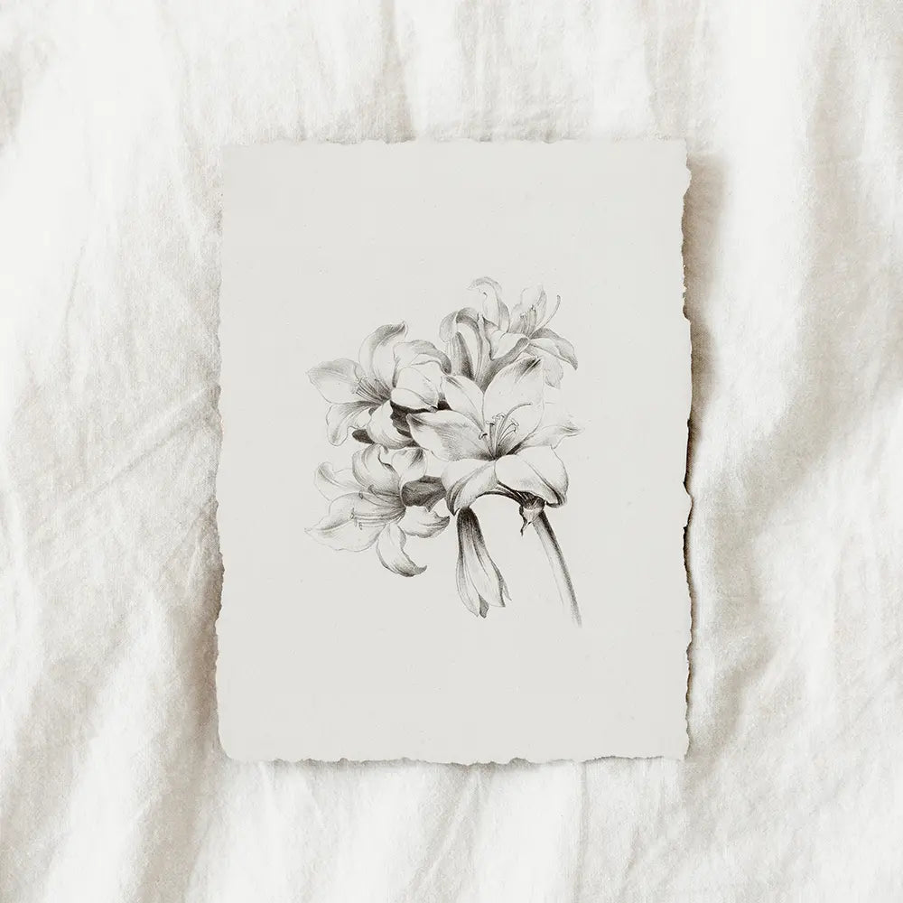 A vintage printable wall art featuring a botanical drawing of Amaryllis flowers bouquet.