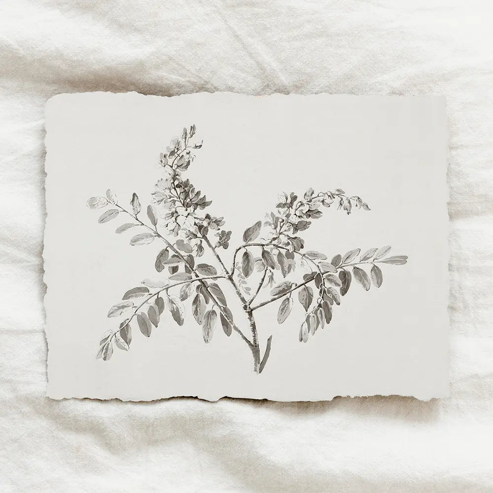 A vintage printable wall art featuring a botanical drawing of a flowering branch adorned with tiny leaves.