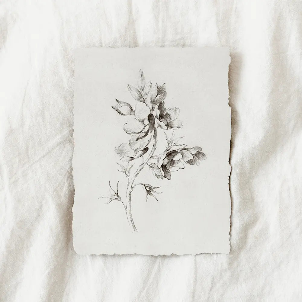 A vintage printable wall art featuring a botanical drawing of a wild rose bough adorned with delicate petals and buds.