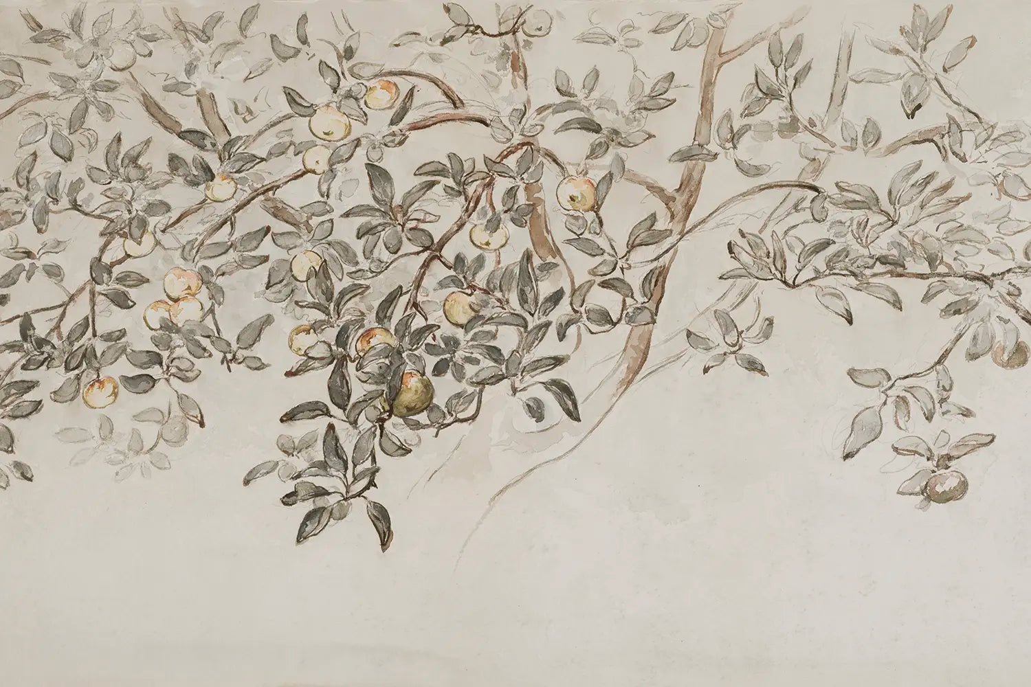 A botanical watercolor painting of apple tree branches. 