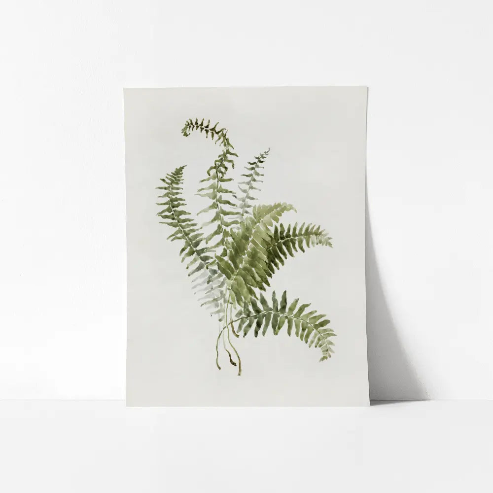 A mockup view of a botanical watercolor painting of fern leaves. 