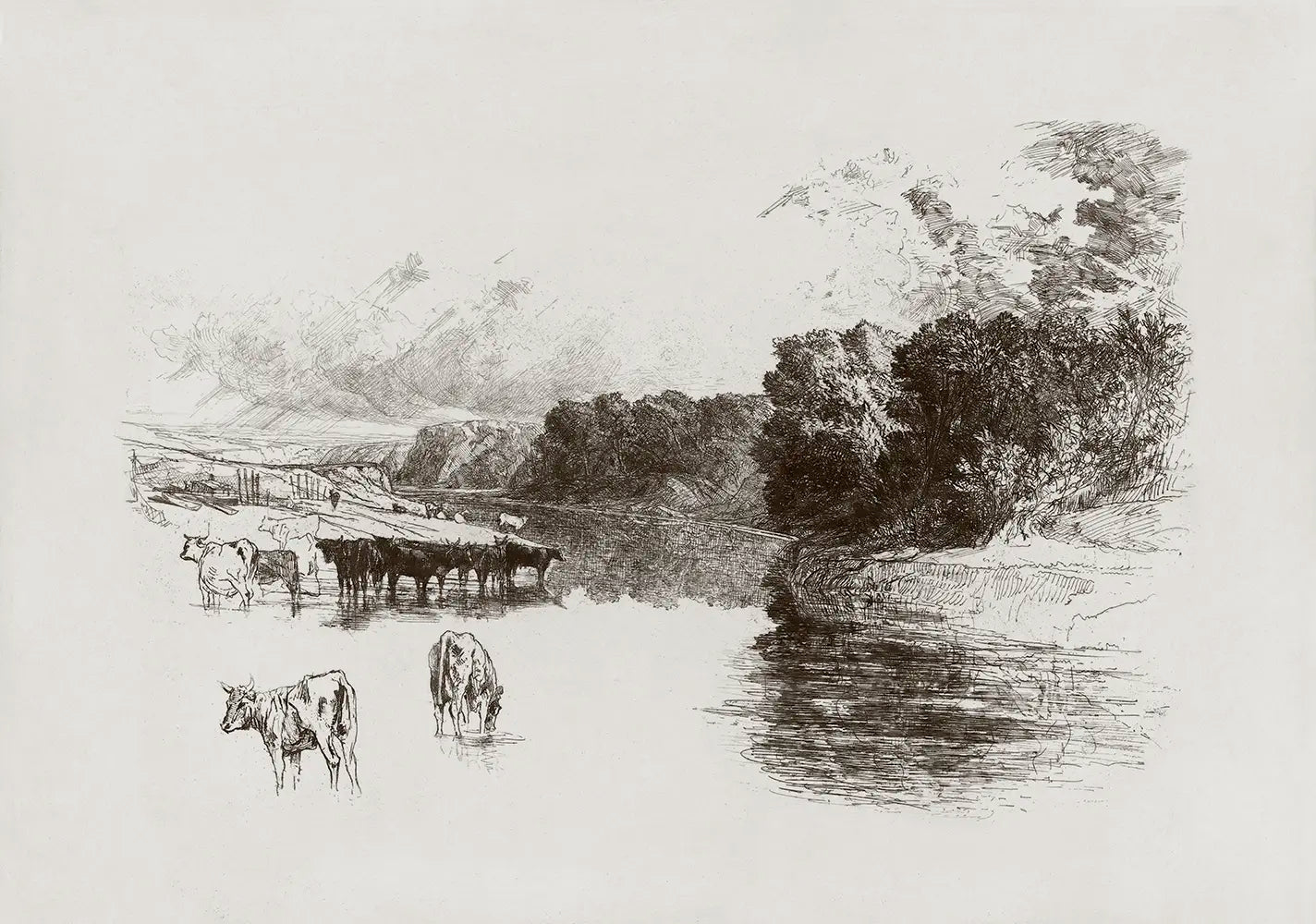 A landscape etching of a pastoral scene with  cattle grazing near a river bank.