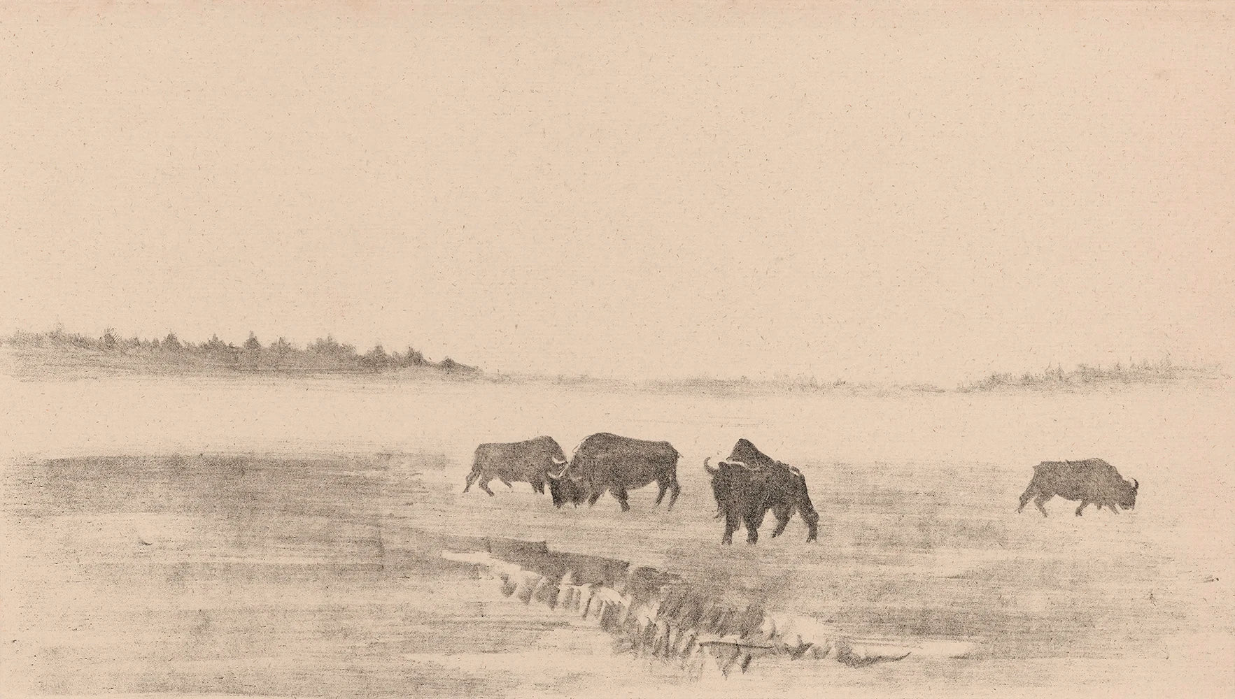 A vintage printable wall art featuring a small herd of bison grazes in an open, misty field.