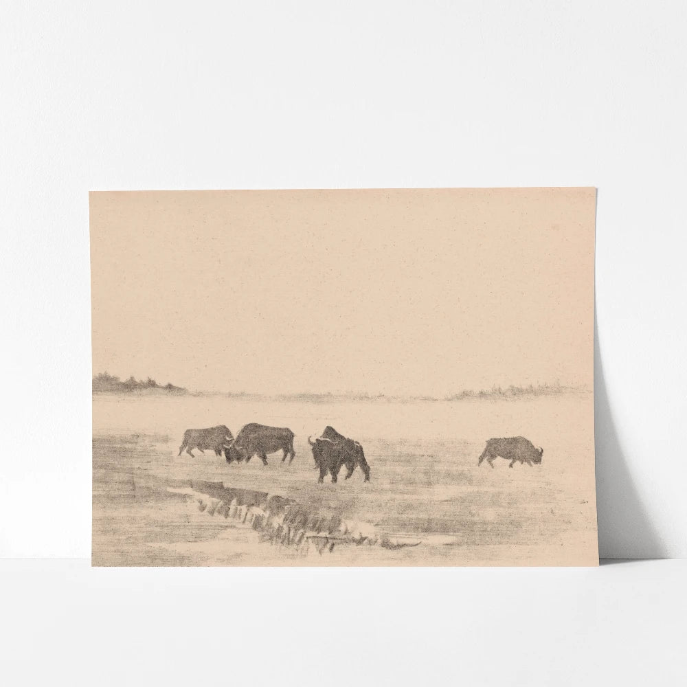 A vintage printable wall art featuring a small herd of bison grazes in an open, misty field.