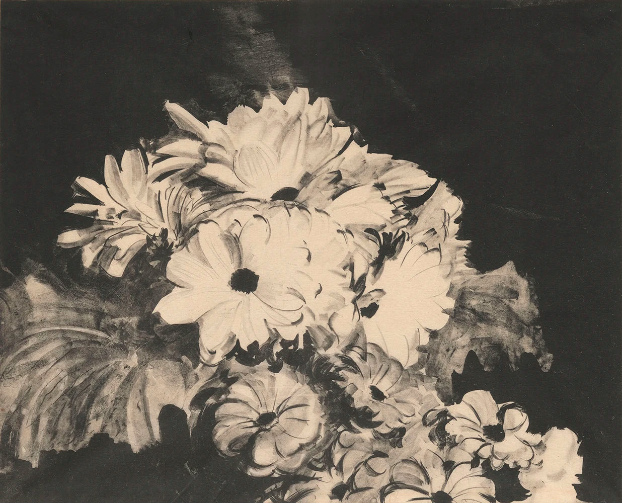 A vintage printable wall art featuring a black-and-white depiction of blooming cineraria flowers.