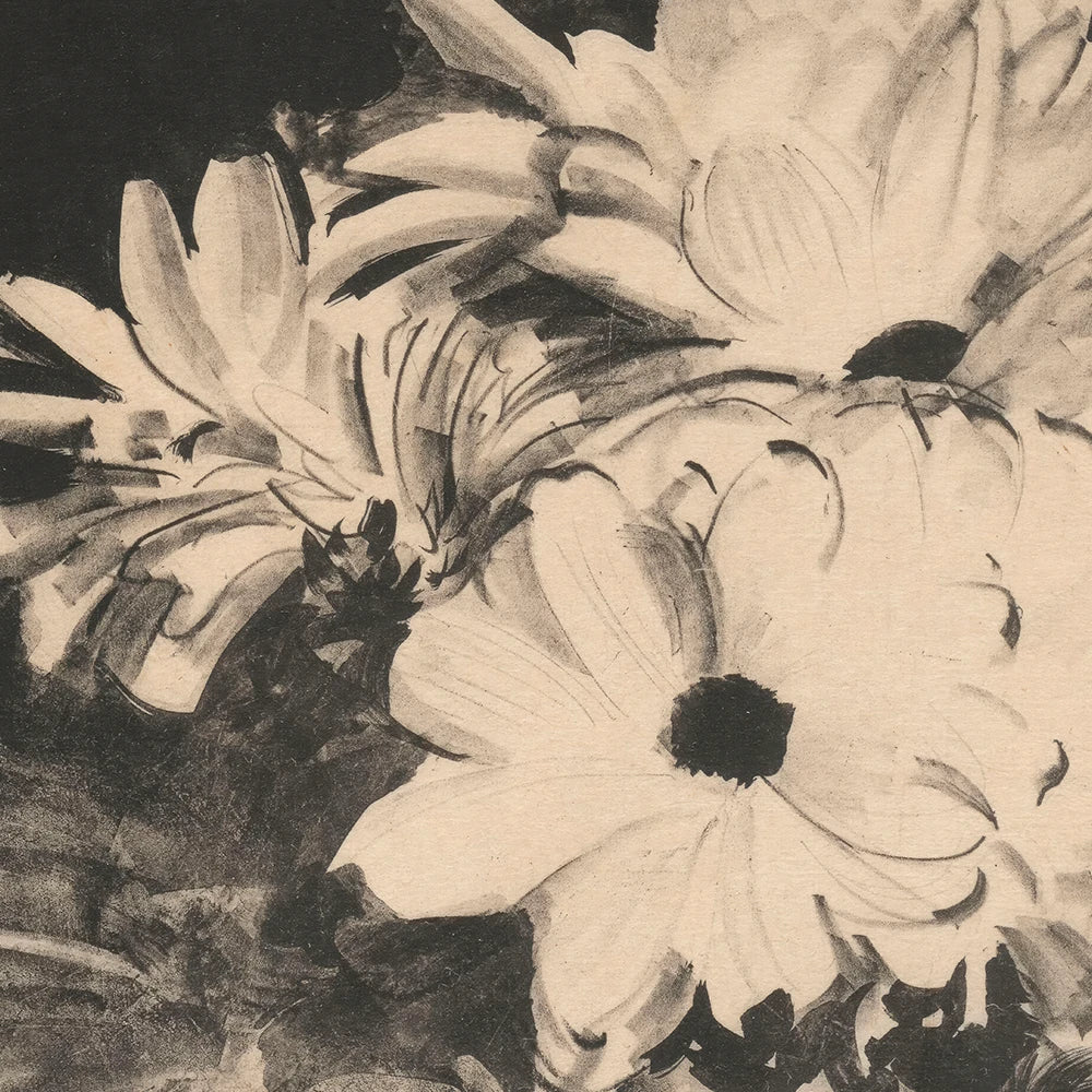 A vintage printable wall art featuring a black-and-white depiction of blooming cineraria flowers.